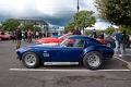 AC Cobra -04
